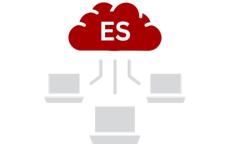 Enterprise Systems Integration