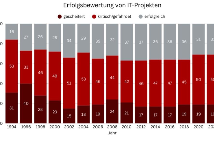 Erfolgsbewertung von IT-Projekten, Eigendarstellung